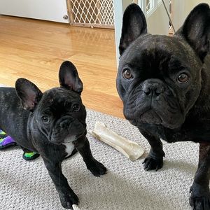 Meet your Posher, Mikaela